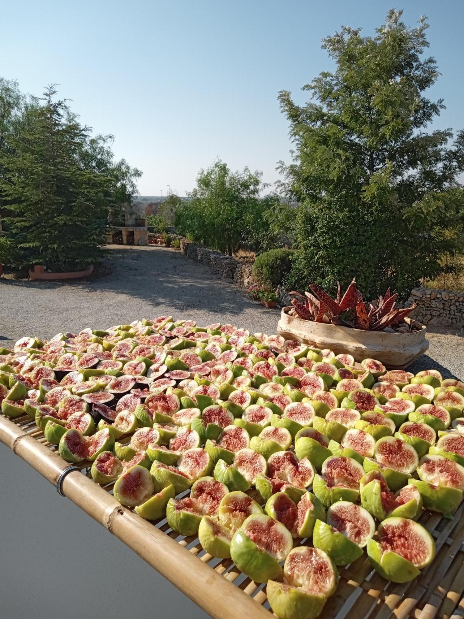 Oniro Specchia B&B 외부 사진